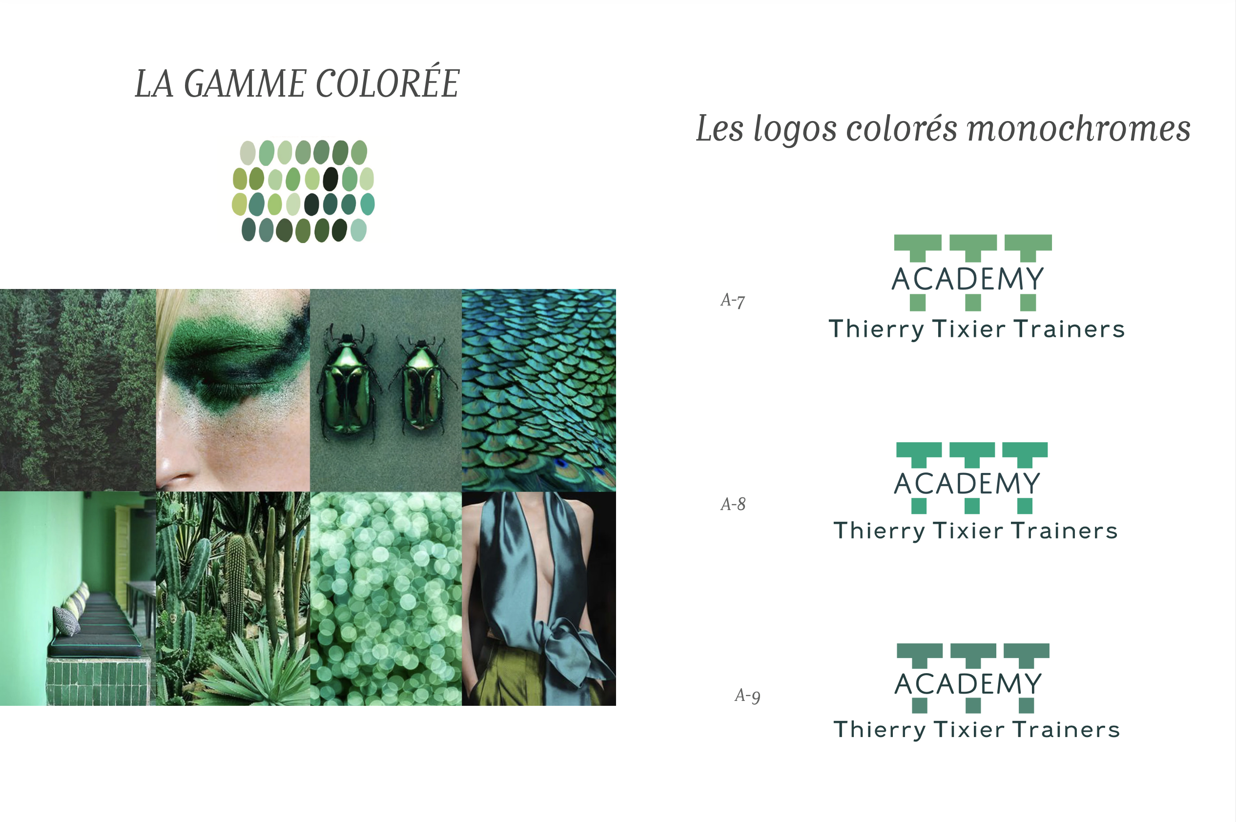 Identité visuelle logo, charte graphique , typographie, couleurs et déclinaison société de formation